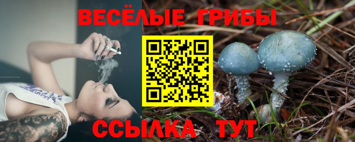 Галлюциногенные грибы мицелий  Вход с VPN  Псилоцибиновые грибы мухоморы  Коломна 